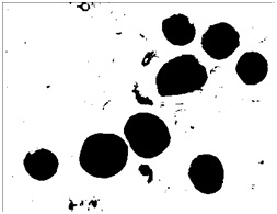 image processing image processing